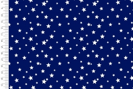 11251 Mini Star